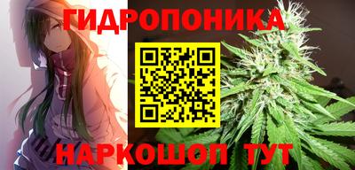 гидропоника Анжеро-Судженск