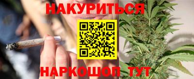 спайс Аша