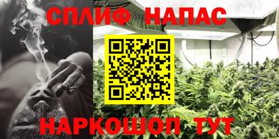спайс Аша